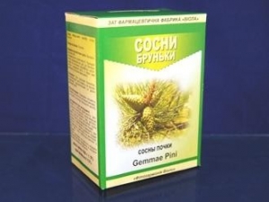 Сосни бруньки
