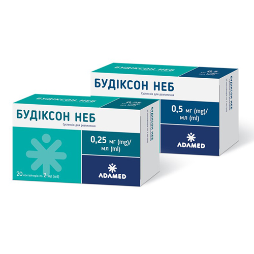 Будіксон Неб